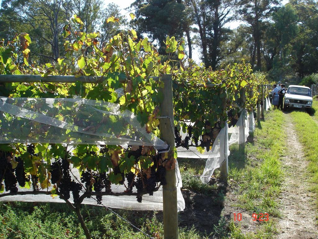 De Doornkraal Vinotel Riversdale Kültér fotó