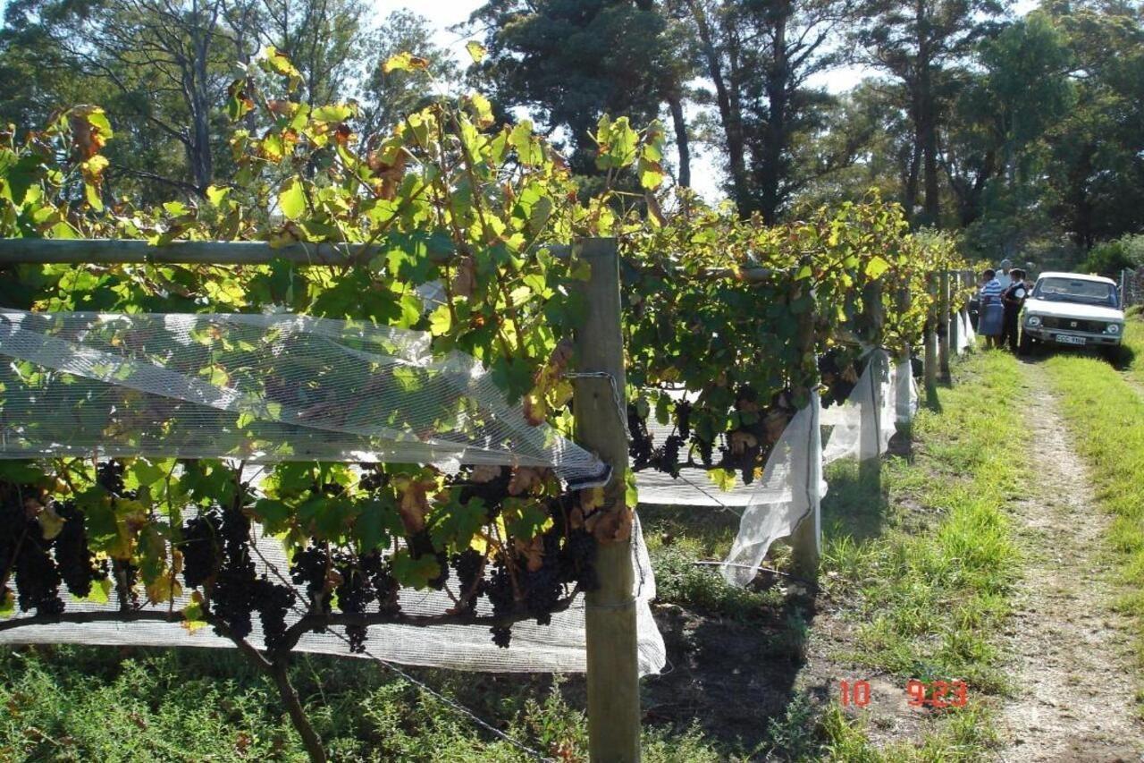 De Doornkraal Vinotel Riversdale Kültér fotó
