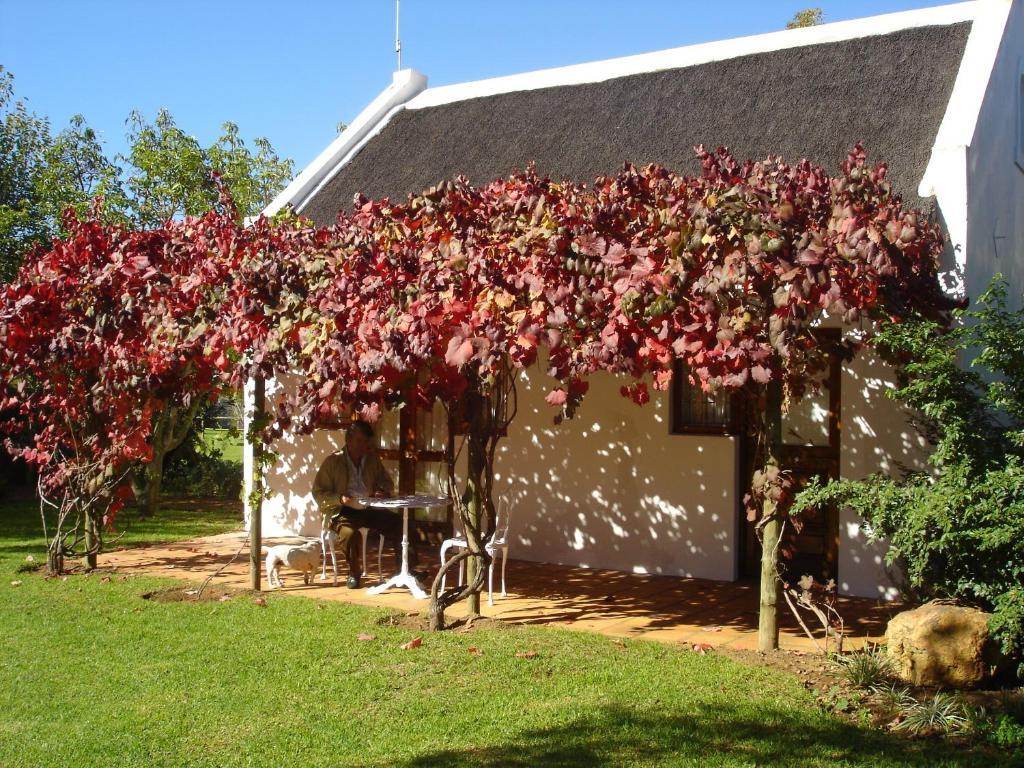 De Doornkraal Vinotel Riversdale Szoba fotó